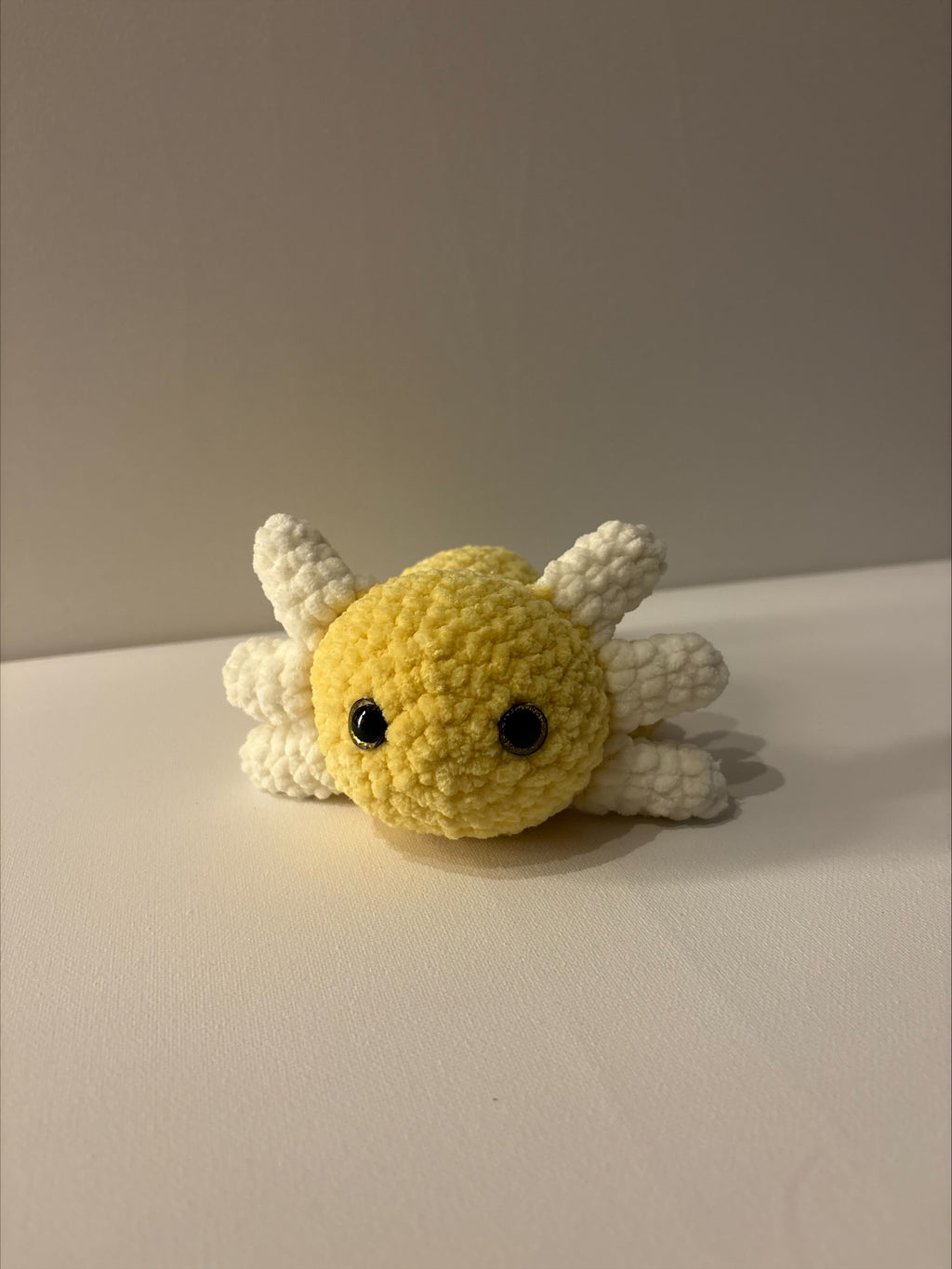 Axolotl - op bestelling